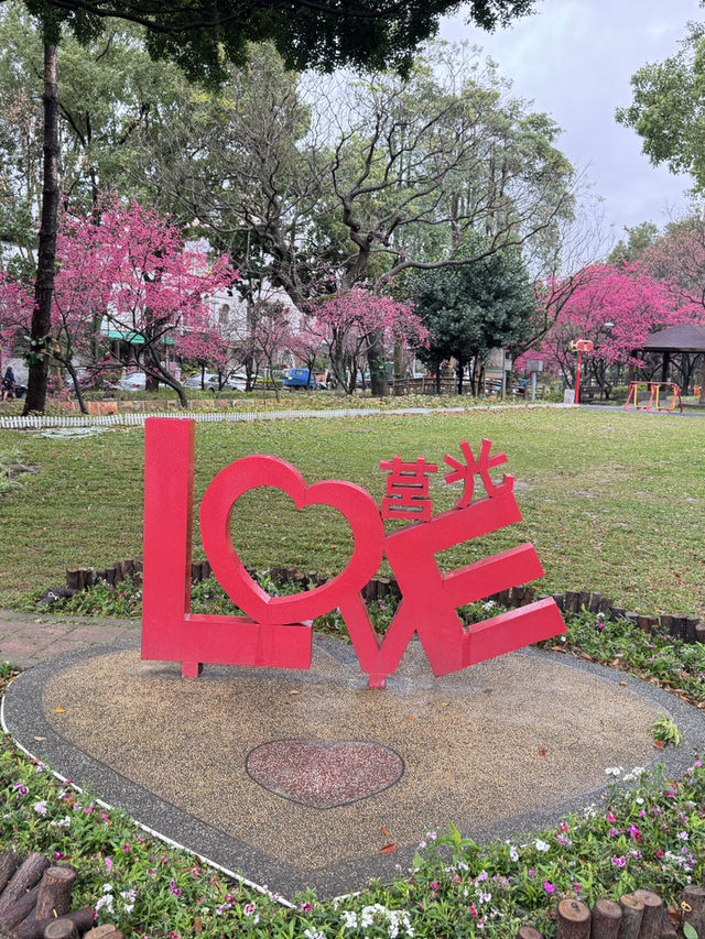 中壢莒光公園｜市區賞櫻花🌸的好地點｜寵物友善景點