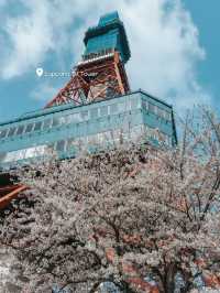 จุดชมซากุระ Sapporo
