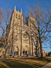 BEAUTIFUL CATHEDRAL.