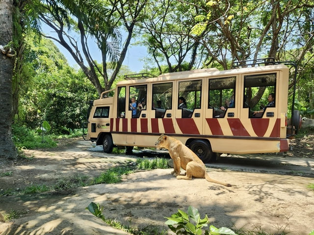 峇里親子必去動物園🦁
