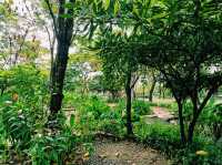 泰國曼谷市中心著名城市綠洲湖泊公園景點：朱拉隆功大學百年世紀公園，歐式園林藝術風格，適合打卡拍照📸親子遊