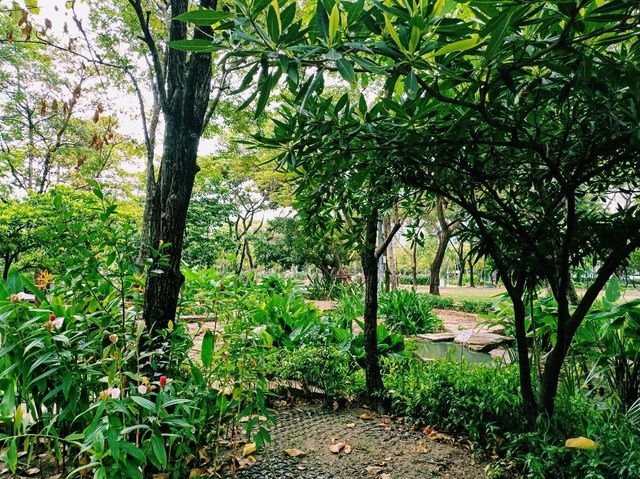 泰國曼谷市中心著名城市綠洲湖泊公園景點：朱拉隆功大學百年世紀公園，歐式園林藝術風格，適合打卡拍照📸親子遊