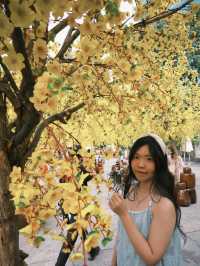How I spent 3 days in Ho Chi Minh City
