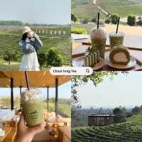 เที่ยวเชียงราย ดอยช้าง 3 วัน 2 คืน 🐑🌳🍃🍵