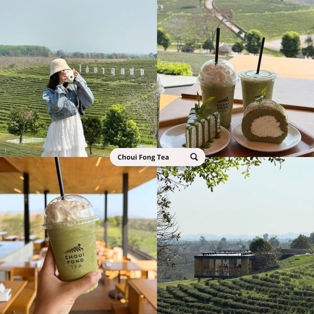 เที่ยวเชียงราย ดอยช้าง 3 วัน 2 คืน 🐑🌳🍃🍵