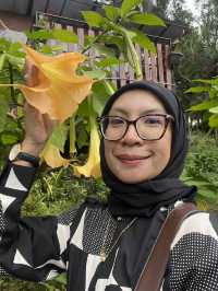 Orchid Forest