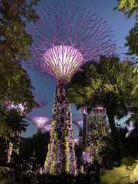 พาเที่ยว Garden by the Bay – สวนอวตารแห่งสิงคโปร์
