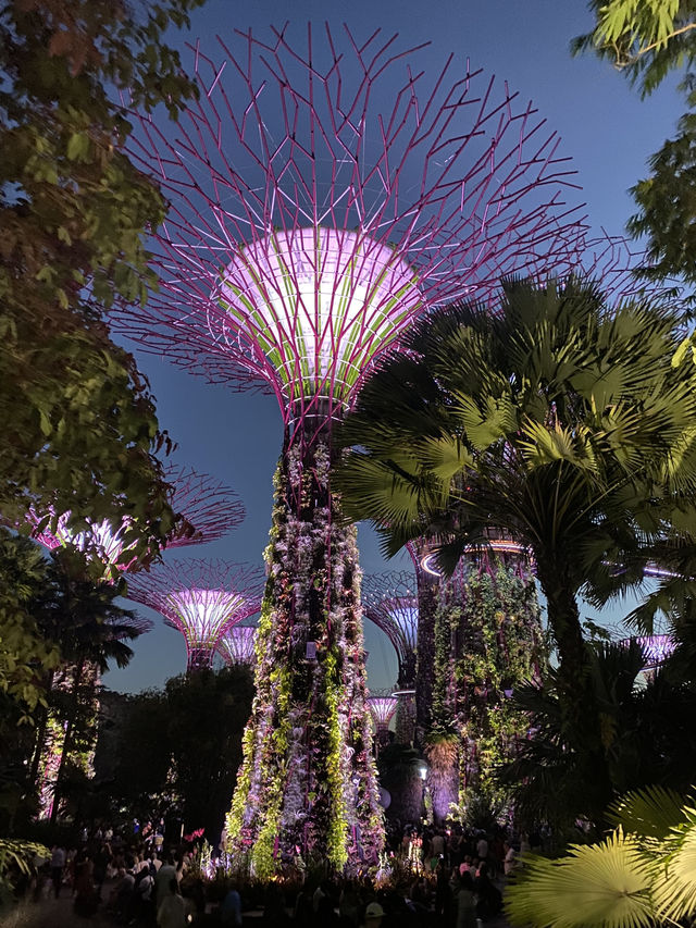 พาเที่ยว Garden by the Bay – สวนอวตารแห่งสิงคโปร์