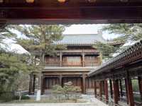 「威海山區肺」 環翠樓公園，仲有平價6頭鮑食！