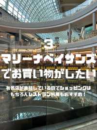 シンガポールでしたいこと🇸🇬