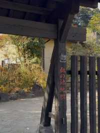 「日本最古の天然地獄『血の池地獄』で赤い熱泥の神秘を体感」
