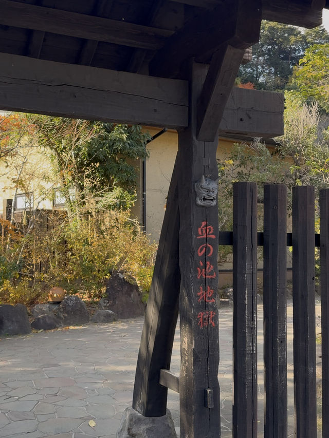 「日本最古の天然地獄『血の池地獄』で赤い熱泥の神秘を体感」