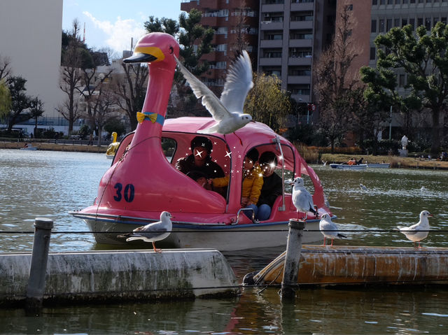 พาเดินเล่น Ueno Park กิจกรรมเพียบ!