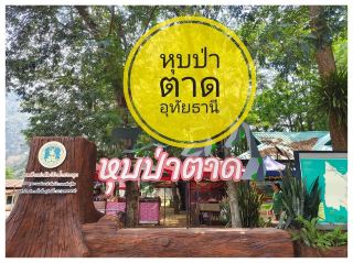 หุบป่าตาด @ อุทัยธานี