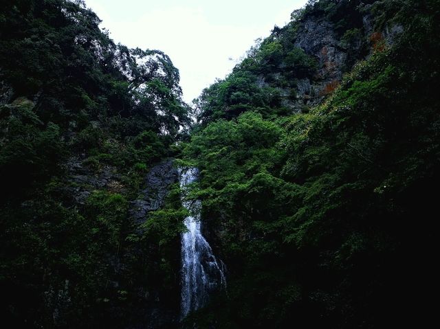 หุบเขามิโน (Minoo Park 箕面公園)