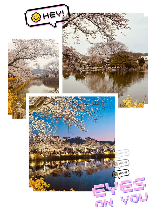 Capture the Beauty of Spring at Yeonhwaji Lake!