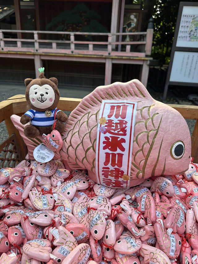 掘蕃薯釣鯛魚護身符的川越冰川神社⛩️🥰