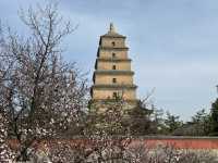 A Peaceful Escape at Xi’an’s Majestic Goose Pagoda
