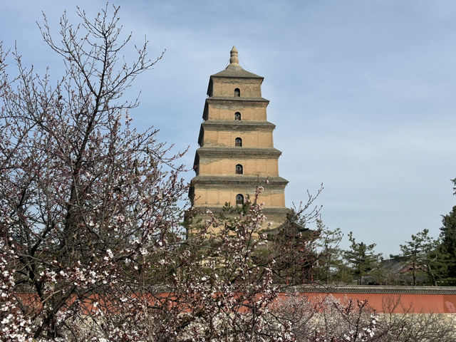 A Peaceful Escape at Xi’an’s Majestic Goose Pagoda