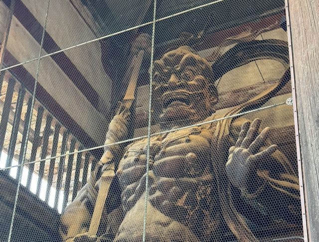 Grand mystical and aesthetic gates 