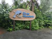 シンガポール動物園攻略！！