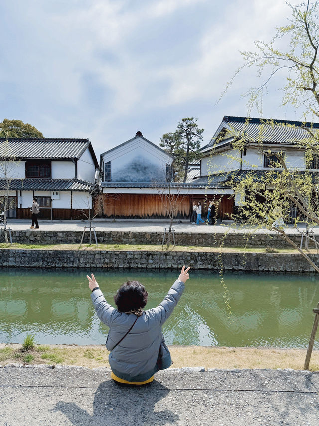 부모님과 함께 가기 좋은 봄놀이 여행지🇯🇵❤️