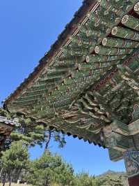 【韓国/大邱】日本人のプロが選んだ絶景30選のうちの一つ！