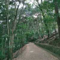 米之山展望台·壯麗景色