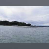 仙台・松島 (Matsushima, Sendai) – 日本三景の絶景と歴史的名所