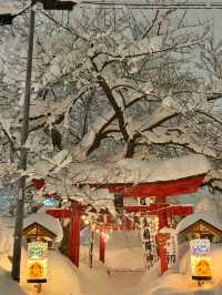 青森の雪景色に圧倒された。7日間6泊の余韻がすごすぎる！