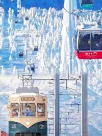 もし一生に一度だけ北海道に行けるなら…❄️私のおすすめはこれ！