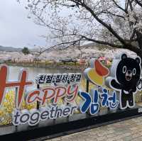 봄에 벚꽃이 만개하는, 김천 연화지 
