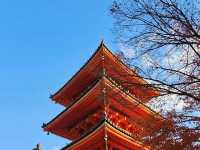 Discovering the Magic of Kiyomizu-dera ✨ | Kyoto’s Must-Visit Spot for Every Young Explorer