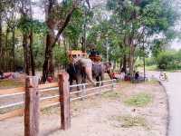 ศูนย์เรียนรู้วัฒนธรรมอีสานใต้