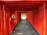桑名で歴史さんぽ旅！鎮国稲荷神社と桑名宗社へ⛩️