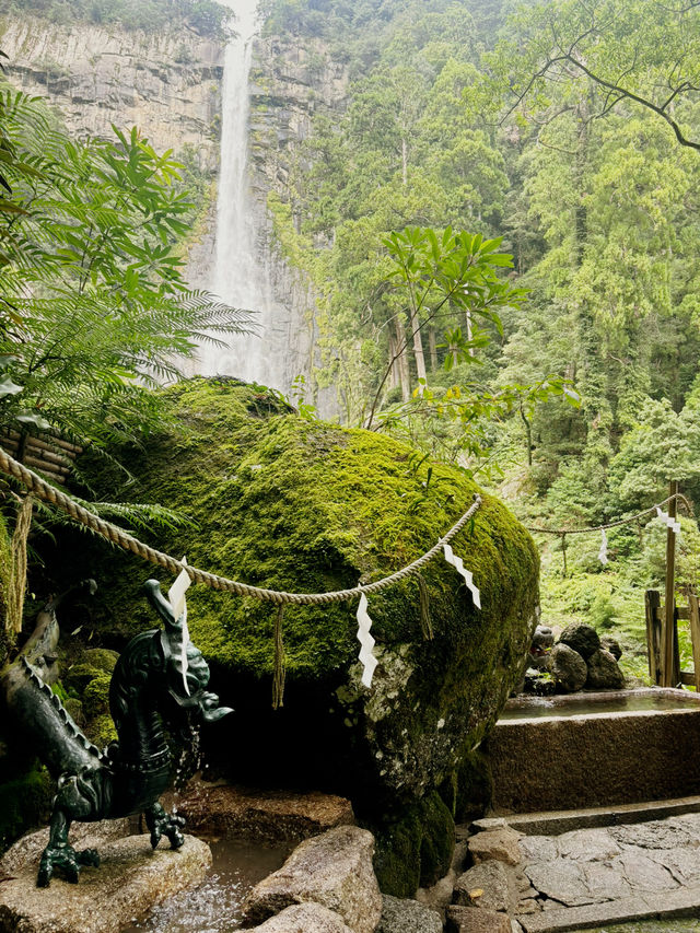 飛瀧神社的靜謐之旅 ⛩️💧