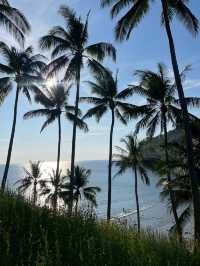 ทุ่งปอเทือง ริมทะเล หาดเมอลิน🌼