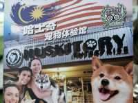 【馬六甲｜萌到心臟爆擊的 huskitory！】