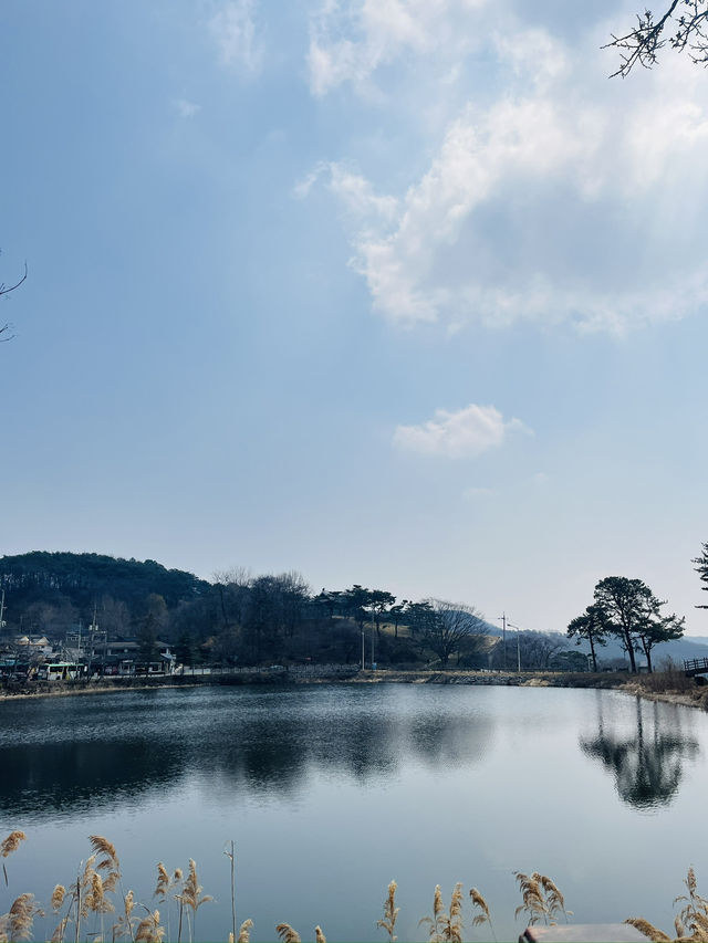 🇰🇷韓國清州，便宜又舒適的韓國旅遊新選擇！