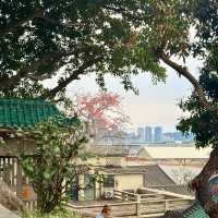 Serenity & Scenery at A-Ma Temple, Macau