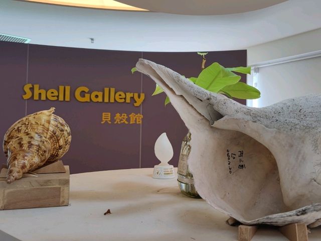 #旗津貝殼館-高雄市旗津區