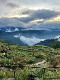Between Heaven and Earth
