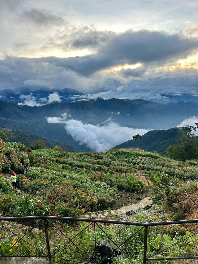 Between Heaven and Earth