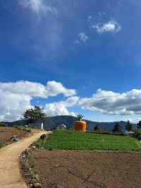 A Village Full of Peace
