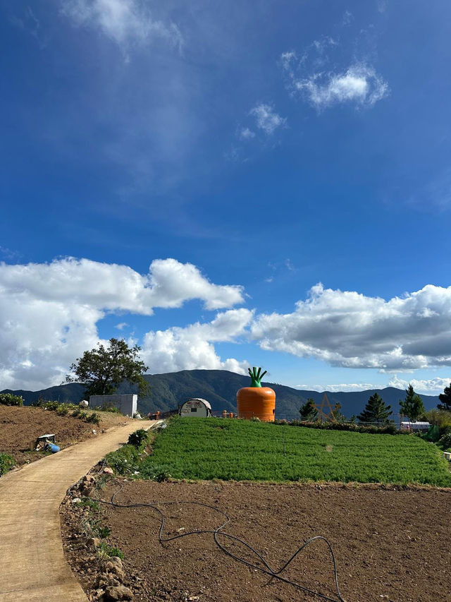 A Village Full of Peace