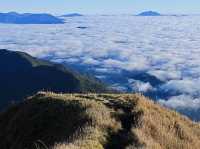 10 Must-Try Experiences in the Philippines (for First-Time Visitors!)