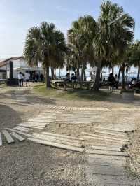 【宮崎】AOSHIMA BEACH PARK：青島の海辺で過ごす、日常と非日常が交差する場所