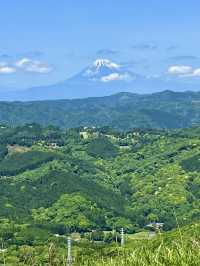 Spring Getaway to Mt. Omuro – A Walk Above the Clouds