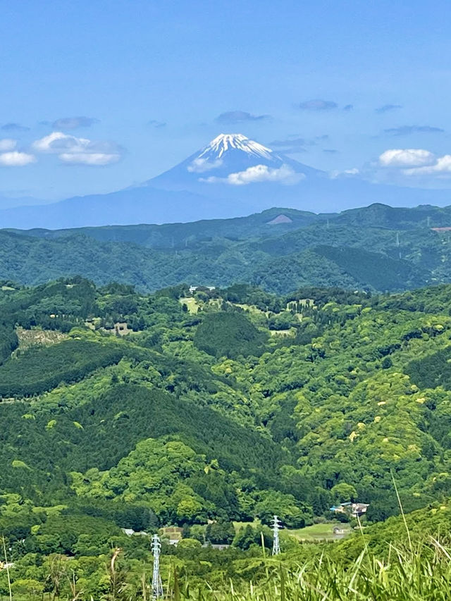 Spring Getaway to Mt. Omuro – A Walk Above the Clouds