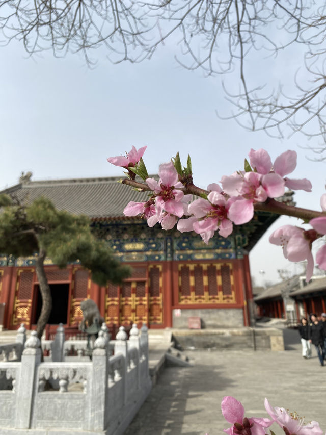 Miaoying Temple – วัดเจดีย์ขาวแห่งปักกิ่ง 🙏🏻